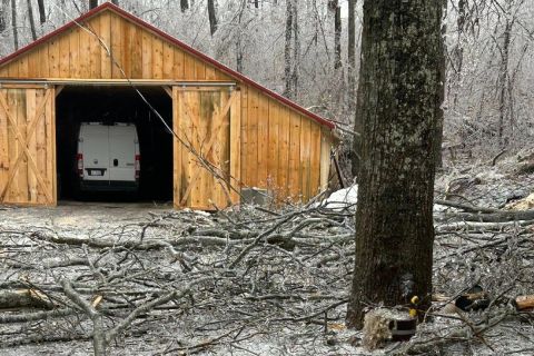 Downed limbs at a maple syrup farm